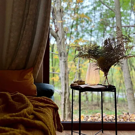 Rogaty Przy Bobrowisku