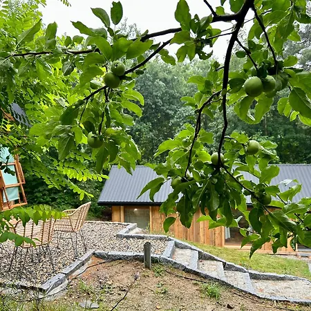 Rogaty Przy Bobrowisku בית נופש Kornatka (Myslenice)