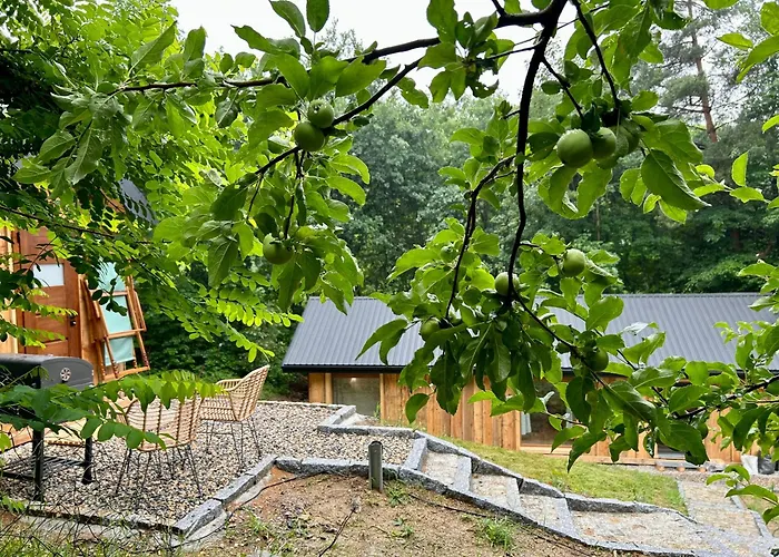 Rogaty Przy Bobrowisku Nyaraló Kornatka (Myslenice)